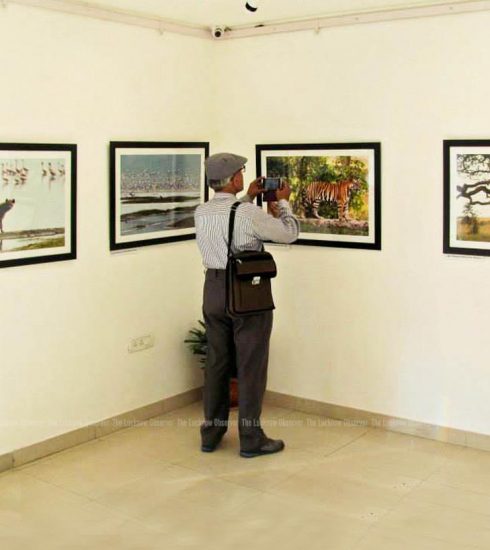 Wildlife Photo Exhibition